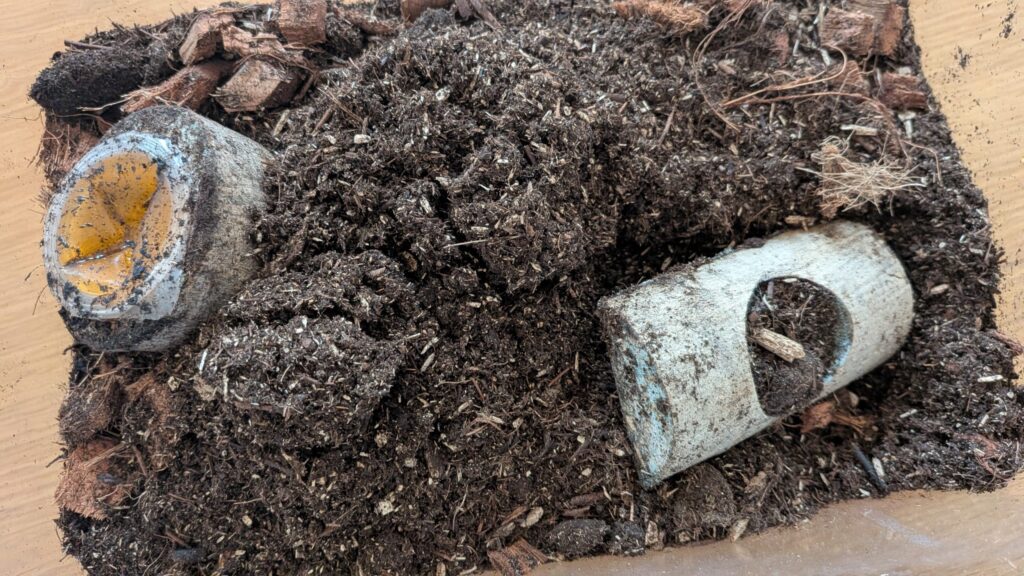 緑のカビが発生した産卵セット内部の様子