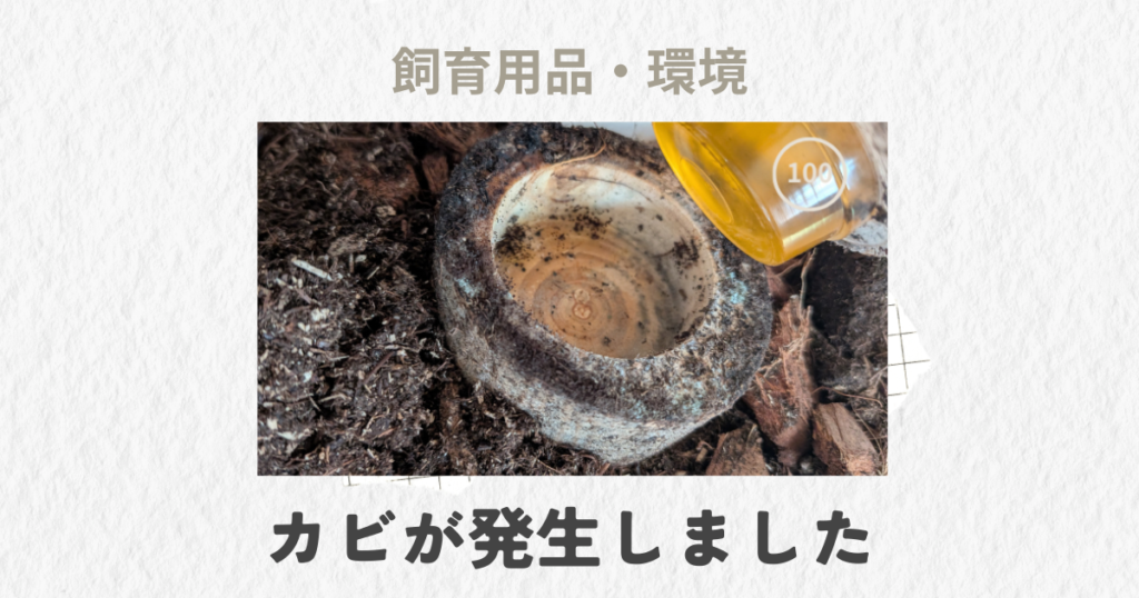 エサ皿にカビが発生したときの飼育ログアイキャッチ