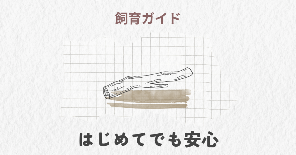 産卵セットの組み方ガイド