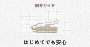 産卵セットの組み方ガイド