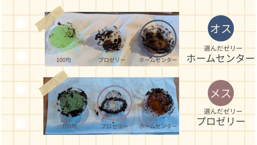 ゼリー3種を比較した結果